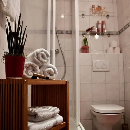 Отель Boutique Pinzgauerhof 3*