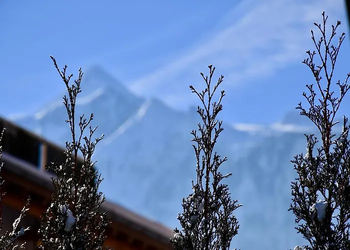 Boutique Pinzgauerhof Kaprun